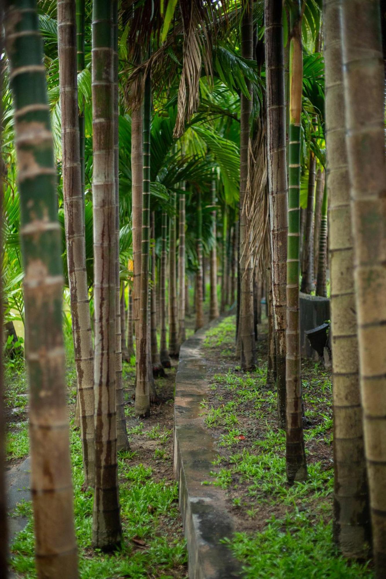 Phanumas Resort เชียงใหม่ ภายนอก รูปภาพ
